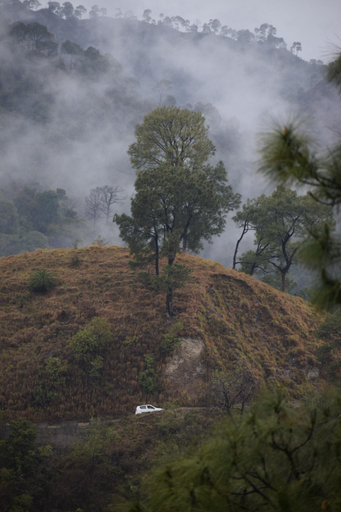 Others 4, Dhauladhar View Village Resort , Kangra