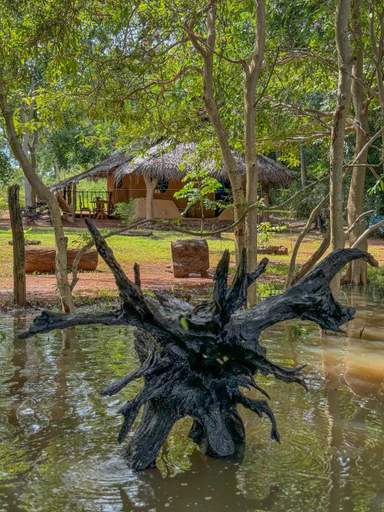 Others 5, Glimra eco lodge, Thanamalvila