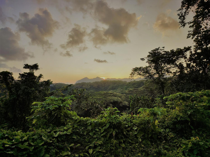 5, HUAHINE - Hibiscus House