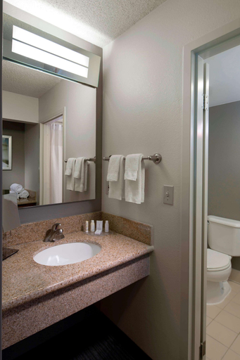 Bathroom 4, Sonesta Select Boca Raton Town Center, Palm Beach