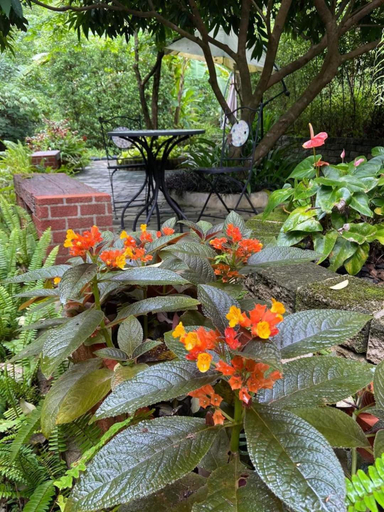 Others 5, Bangnu Greenery Resort, Takua Thung