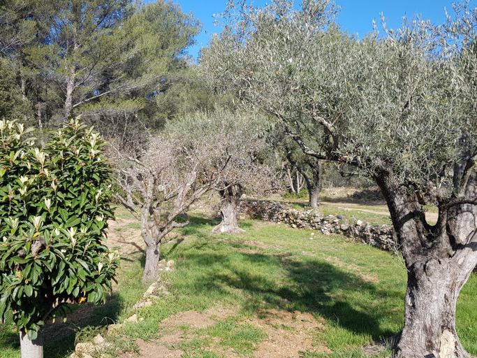 Others 5, Gites Mas des rochers - Case bambou avec Spa et piscine, Var