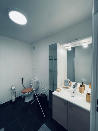 Bathroom 3, Appartement Lahcen, Seine-et-Marne