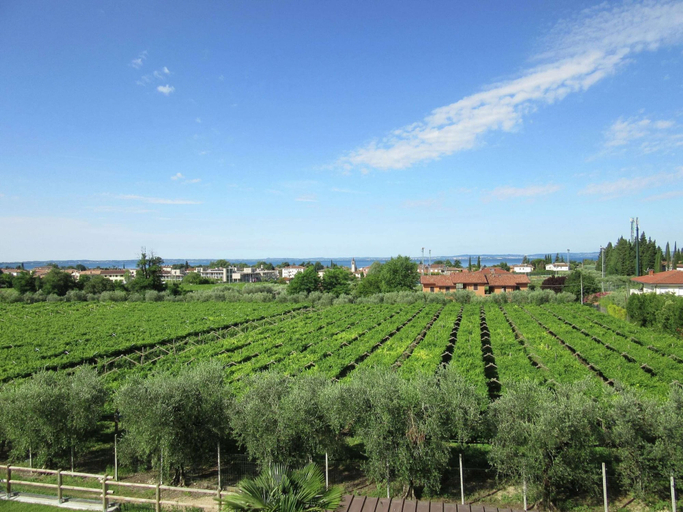 View from property, Belvilla by OYO Bottrigo Mono Rigo, Verona