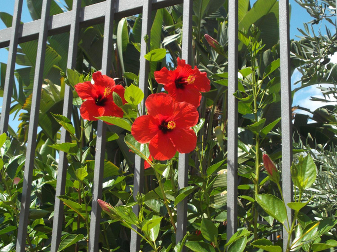 Others 4, B&B L'Asfodelo, Cagliari