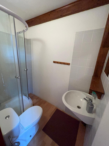Bathroom 3, Penzion u Konigsmarku Vrchlabi, Trutnov