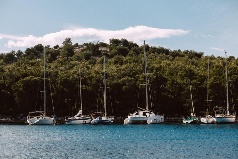 Others 4, Alexandra Apartments, Vodice