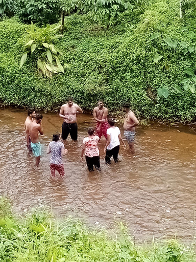 Others 5, River View Guest Rooms, Wayanad