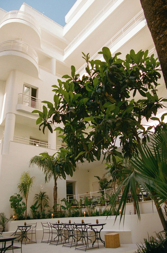 Exterior & Views 2, Apollo Palm Hotel, Attica