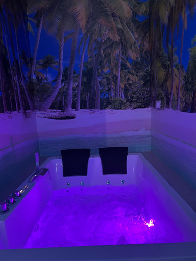 Sport & Beauty 4, Habitacion con jacuzzi y bano privado, Madrid