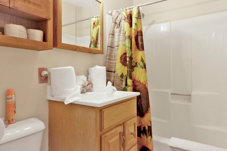 Bathroom, Reality Escape #2466, San Bernardino