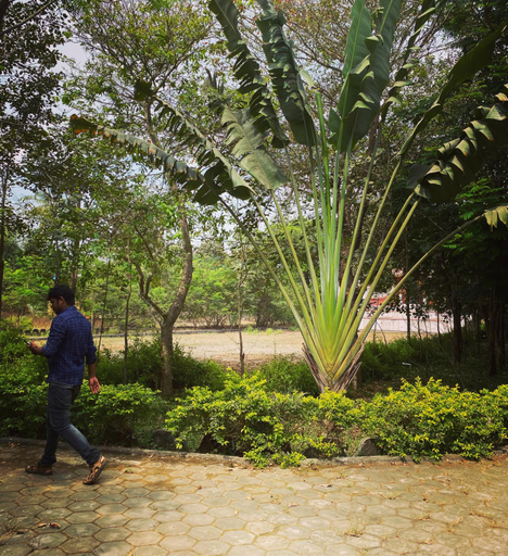 5, Sugam Resort & Convention Centre, Kancheepuram