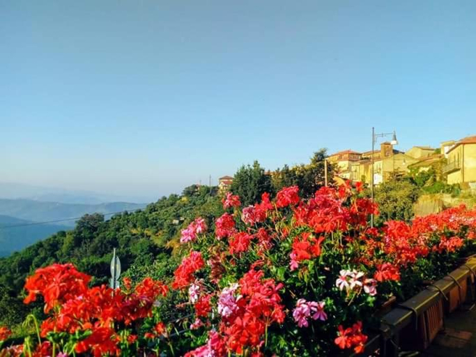 Others 3, B&B Antonella, Salerno