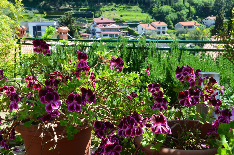 Garden 4, Apartments Portorose, Piran
