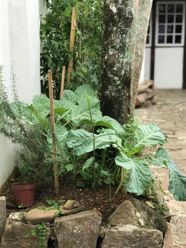 Others 5, Suites no Centro Historico de Paraty, Parati
