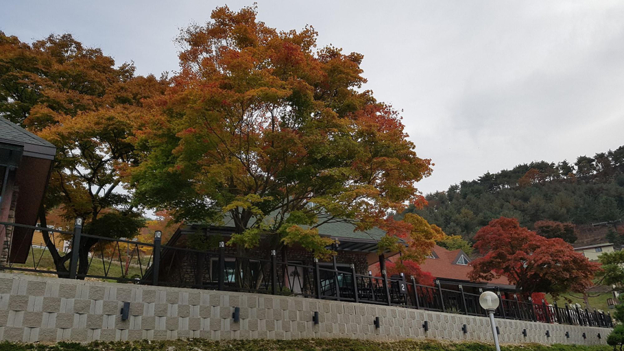 Exterior & Views 1, Nine Valley Park, Sangju