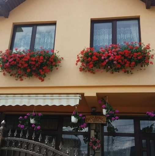 Exterior & Views 1, Casa Caldura Rodica, Busteni
