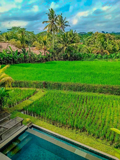 Sport & Beauty 4, Dukuh Ubud Villas, Gianyar