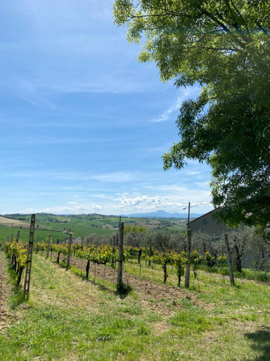 Exterior & Views 4, L'Antica Colombaia; B&B room with private terrace, Ancona