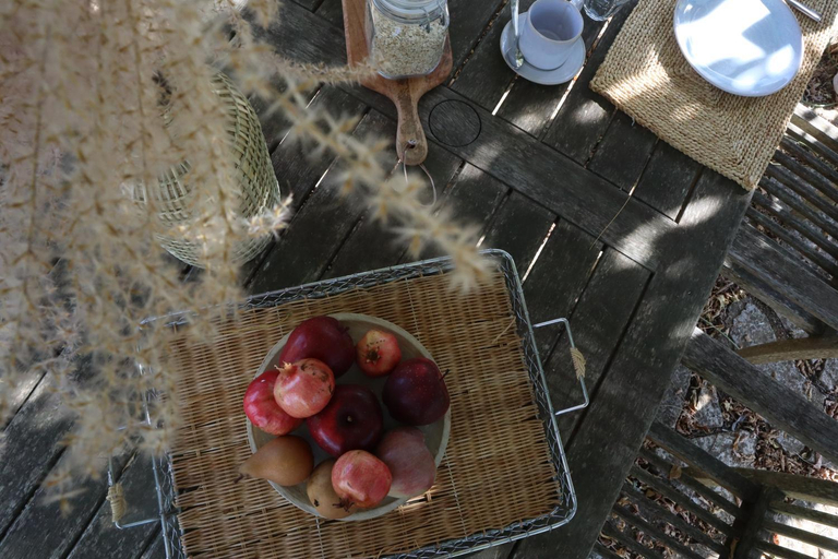 Food & Drinks 5, Abbadia Wine Relais, Siena