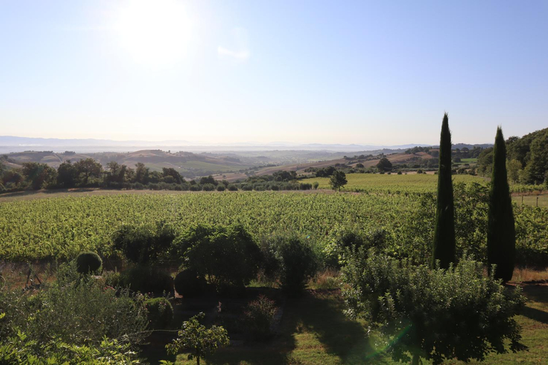 Others 3, Abbadia Wine Relais, Siena