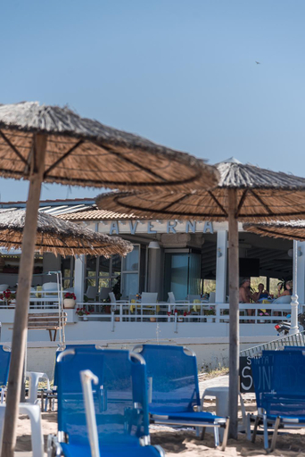 Food & Drinks 5, Nikos & Vivi Studios, Ionian Islands