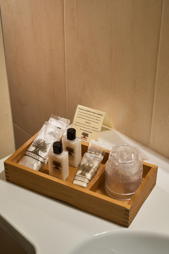 Bathroom 2, Delfina Palace Hotel, Perugia
