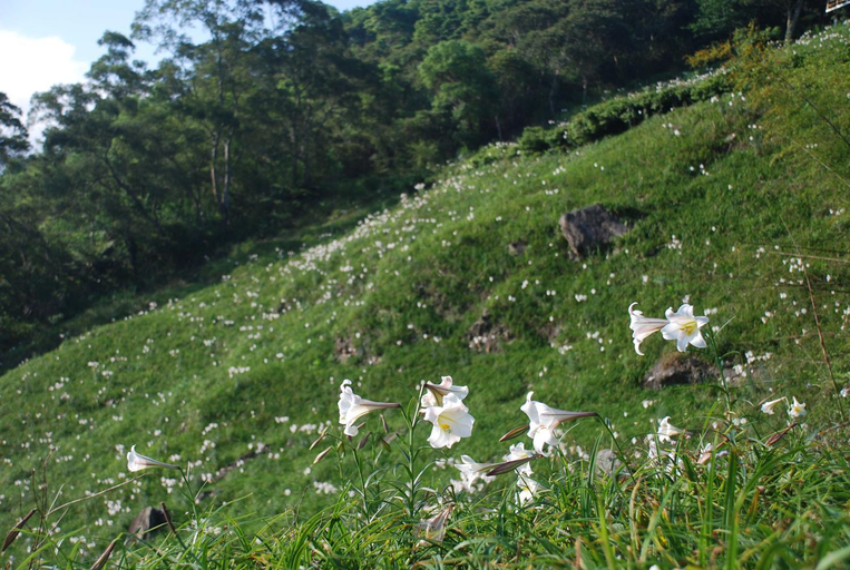 Others 3, Qingshan Homestay, Taitung
