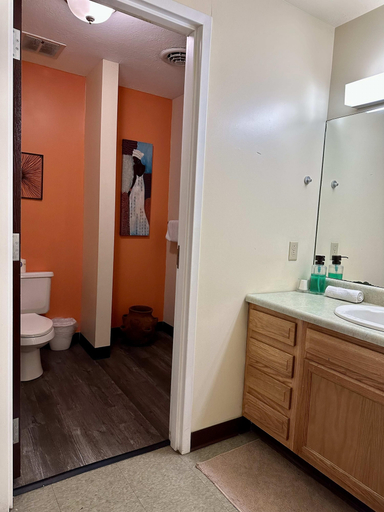 Bathroom 5, 6 Beds Downtown Apt Very Quick Walk Everywhere, Allegheny