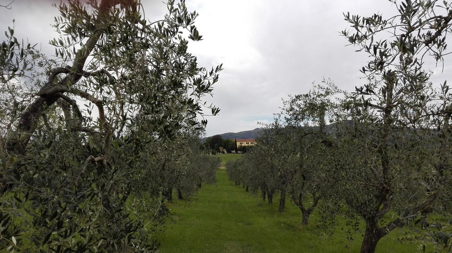 Facilities 3, Agriturismo Luggiano, Florence