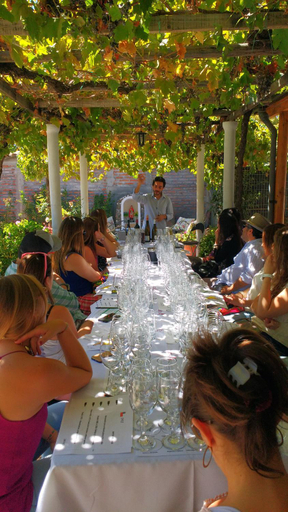 Others 3, Hostal Petit Verdot, Colchagua