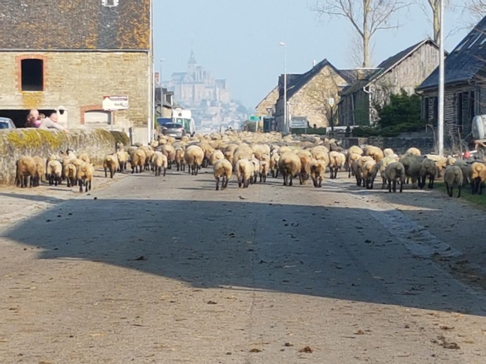 L'Hirondelle, Manche