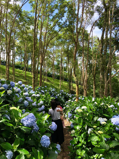 Others 1, Qingshan Homestay, Taitung