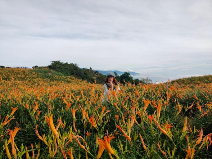 Others 5, Mi Xiang Homestay, Taitung