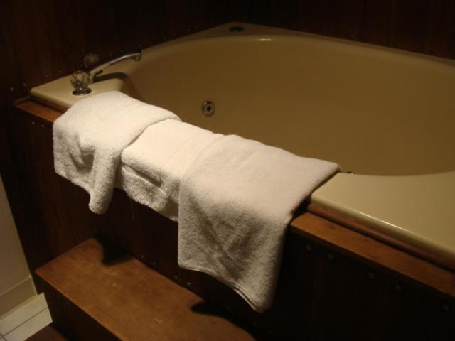 Bathroom, USA Inns of America, Hall
