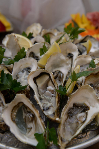 Others 3, Hotel Ristorante Milton, Savona