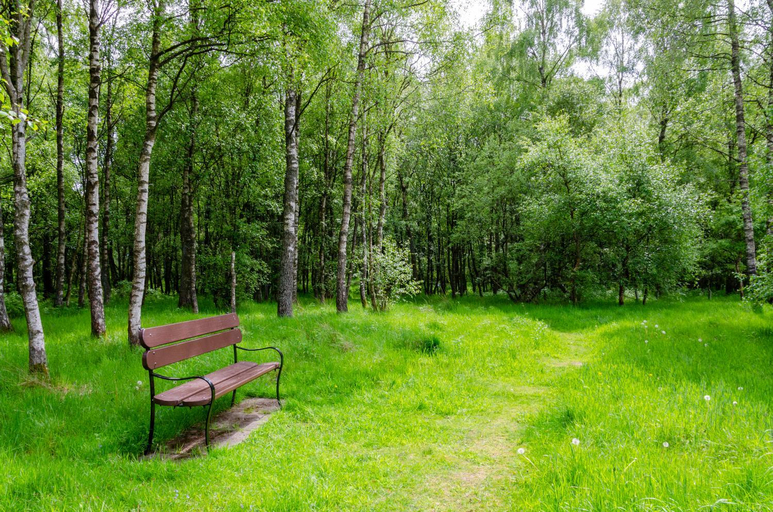 Others 5, Drumshademuir Caravan & Camping Park, Angus