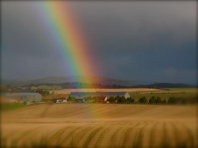 Others 4, Drumshademuir Caravan & Camping Park, Angus