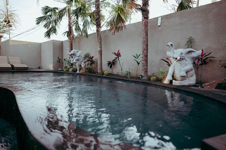 Swimming Pool 7