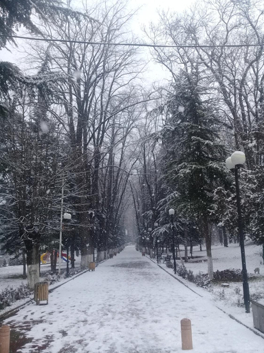Others 4, Elmira, Borjomi