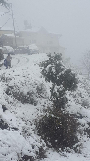 Others 4, Vatsalyam Home Stay, Shimla