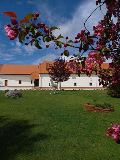Others 5, Penzion U sv. Jana - Kraselovsky Dvur, Strakonice