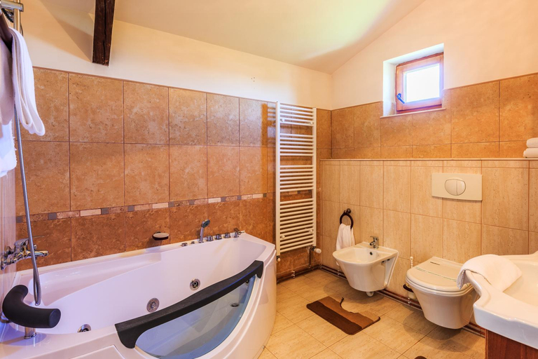 Bathroom 3, Hotel Bielmann, Sanpetru
