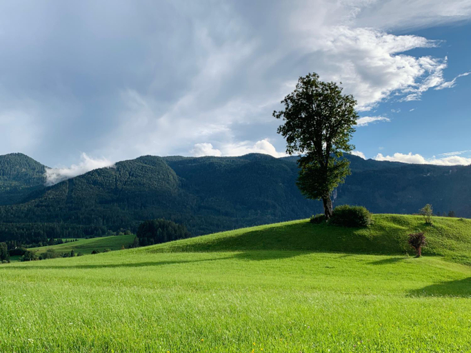 Others 5, Ausseerhaus im Grunen, Liezen