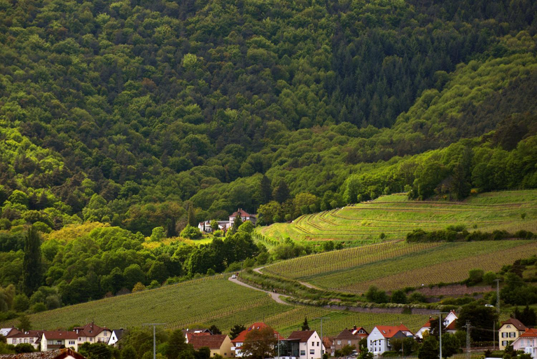 Others 3, Sankt Annagut, Südliche Weinstraße