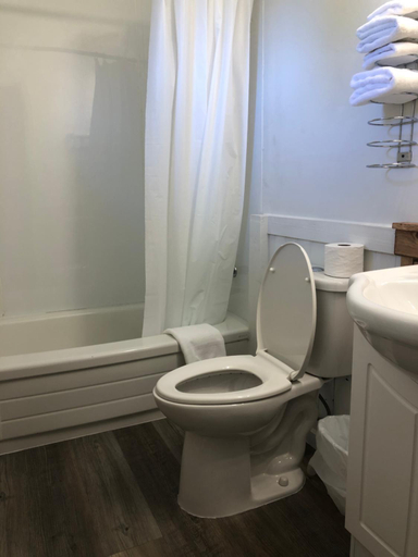 Bathroom 4, Greenside Motel, Charlotte