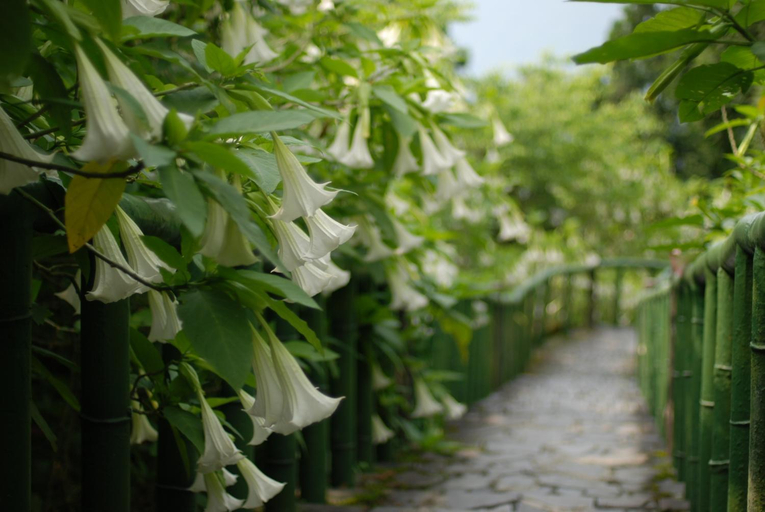 Others 4, Qingshan Homestay, Taitung