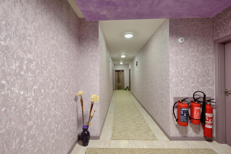 Others 3, Hotel Hello Hissar, Hisar