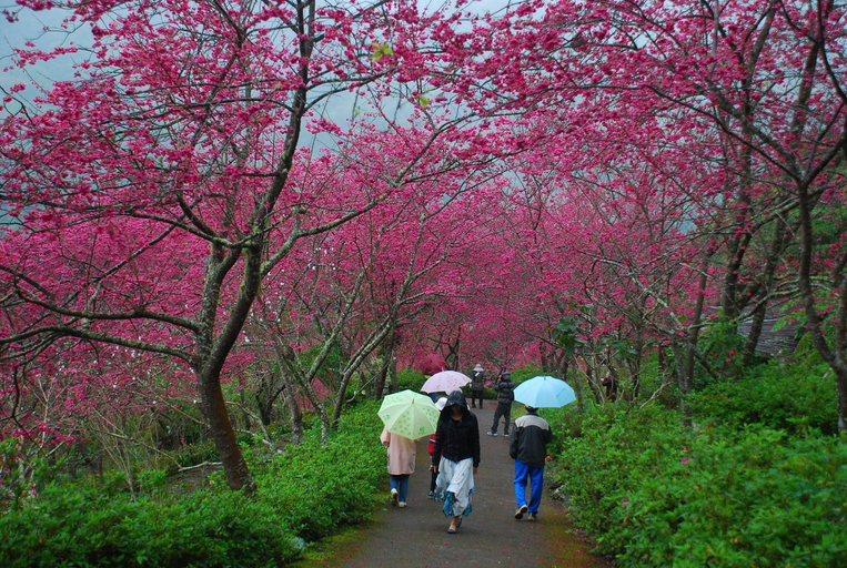 Others 2, Qingshan Homestay, Taitung