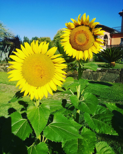 Others 5, Agriturismo solare, Salerno